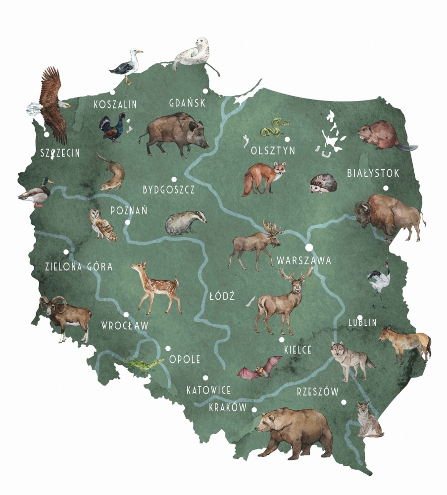 Tapeta-Mapa-Polski-1