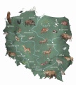 Tapeta-Mapa-Polski-1