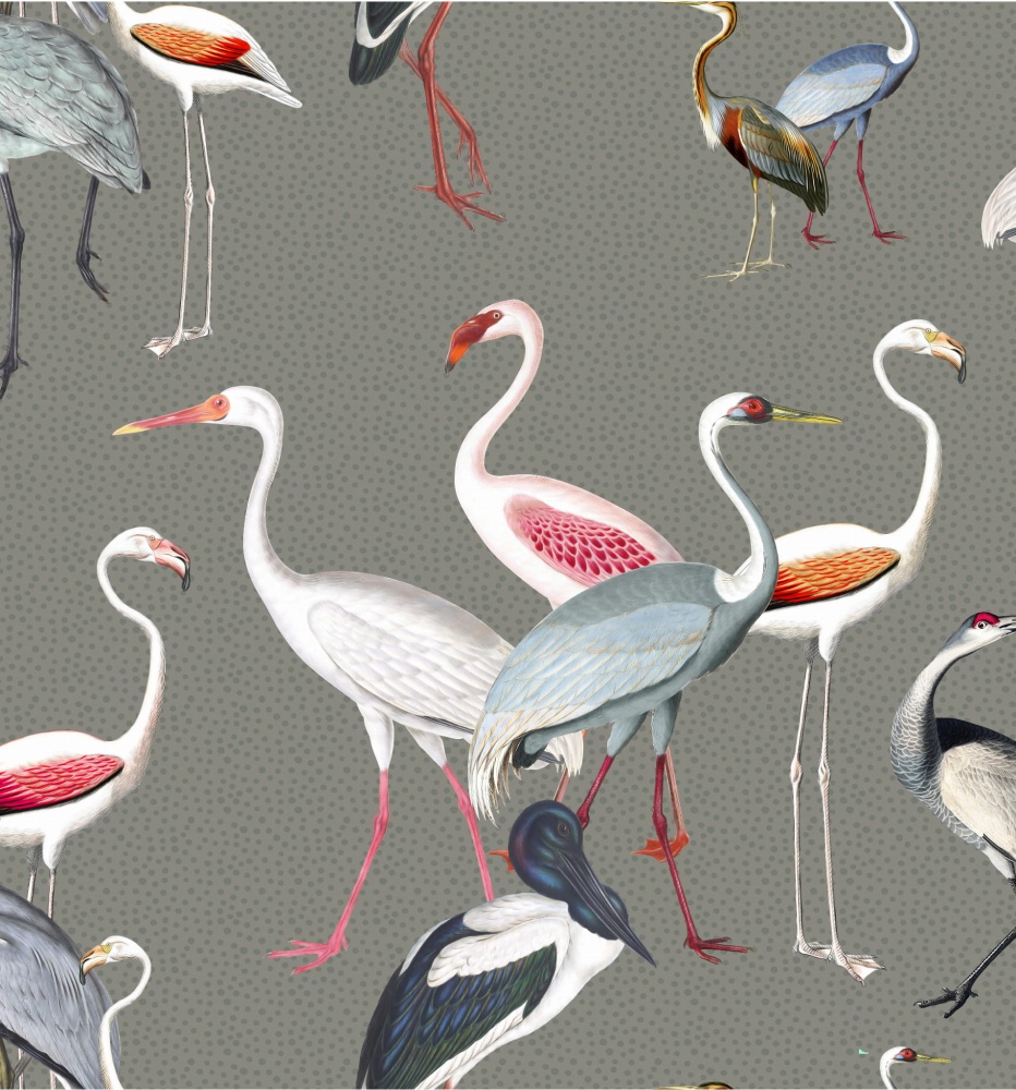 Egzotyczne ptaki.jpg