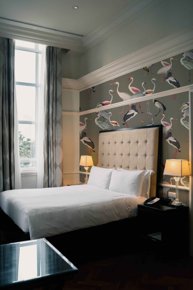 Tapeta Egzotyczne ptak 2.jpg