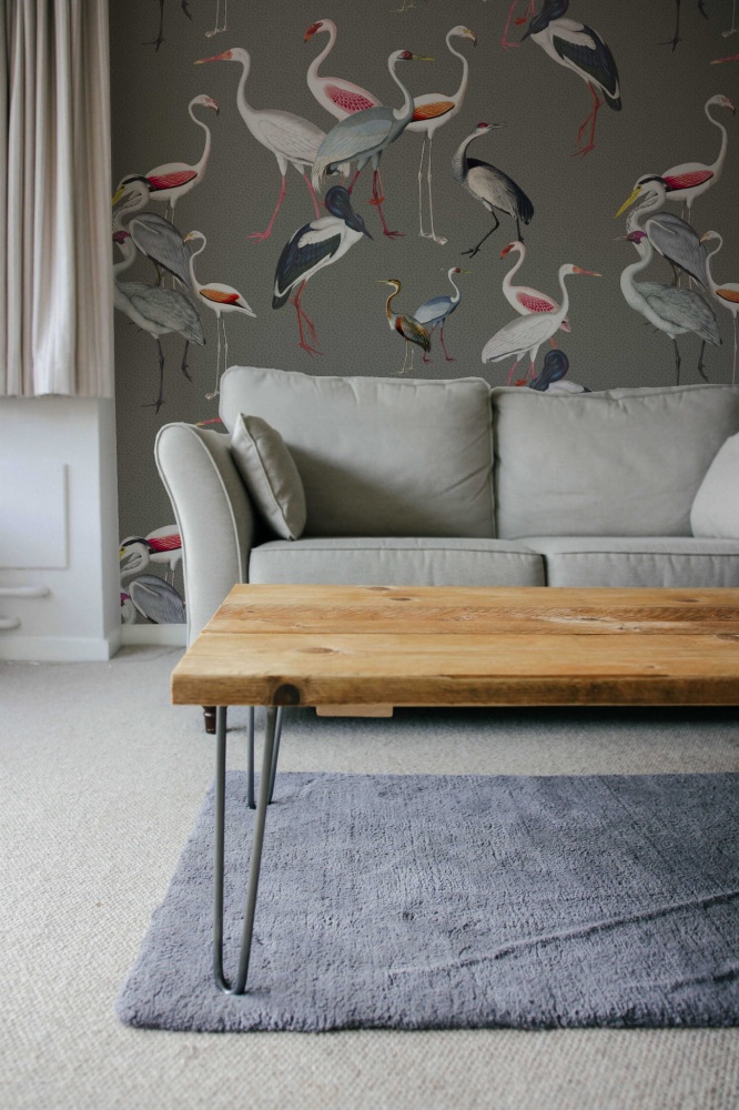 Tapeta Egzotyczne ptaki 4.jpg