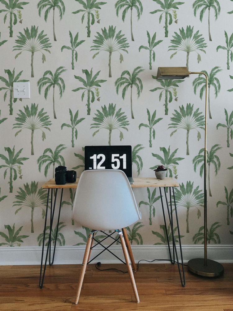 Tapeta palmy 1.jpg