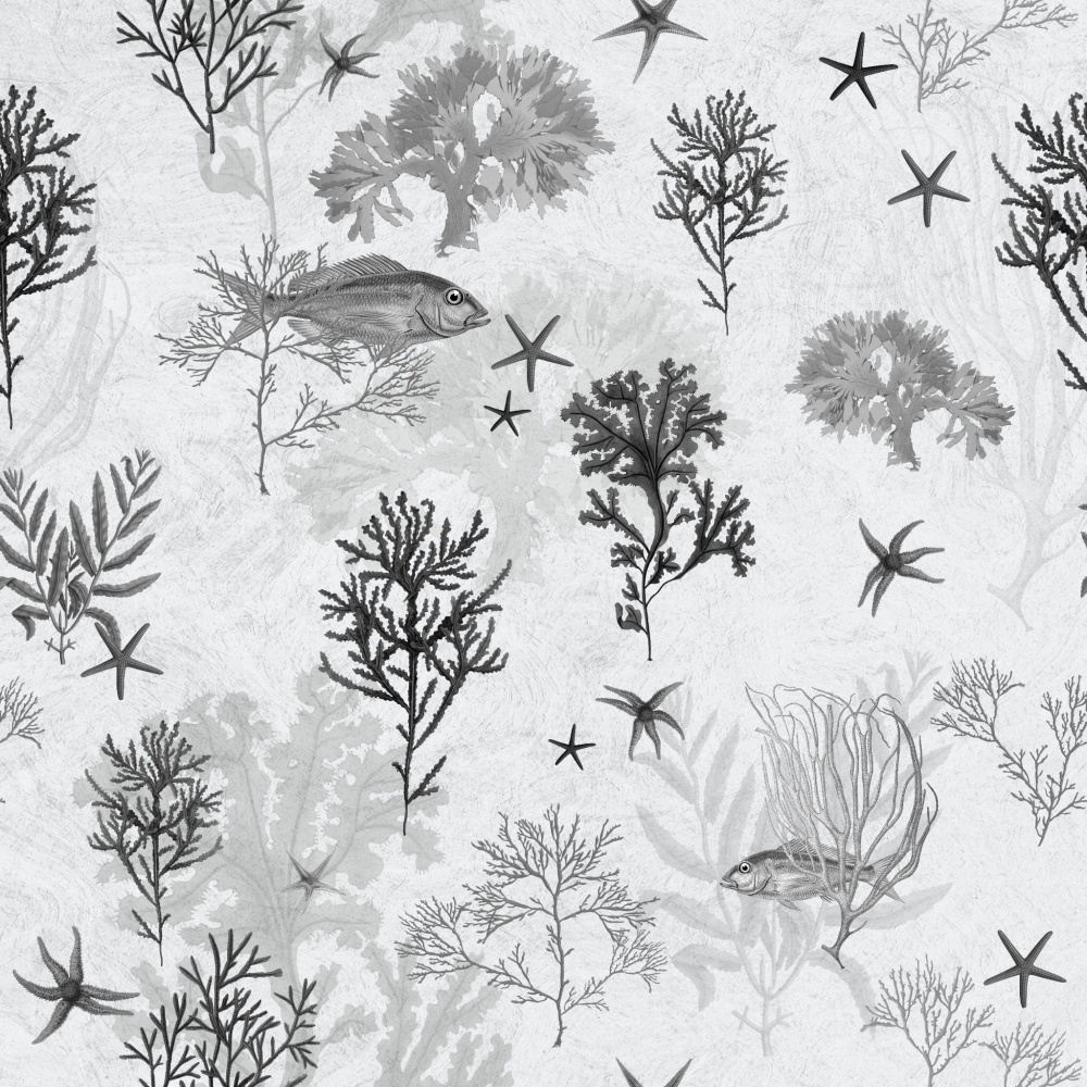 Wodorosty szarosc.jpg