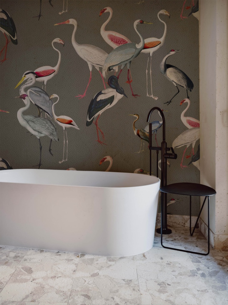 egzotyczne ptaki bloto 1.jpg