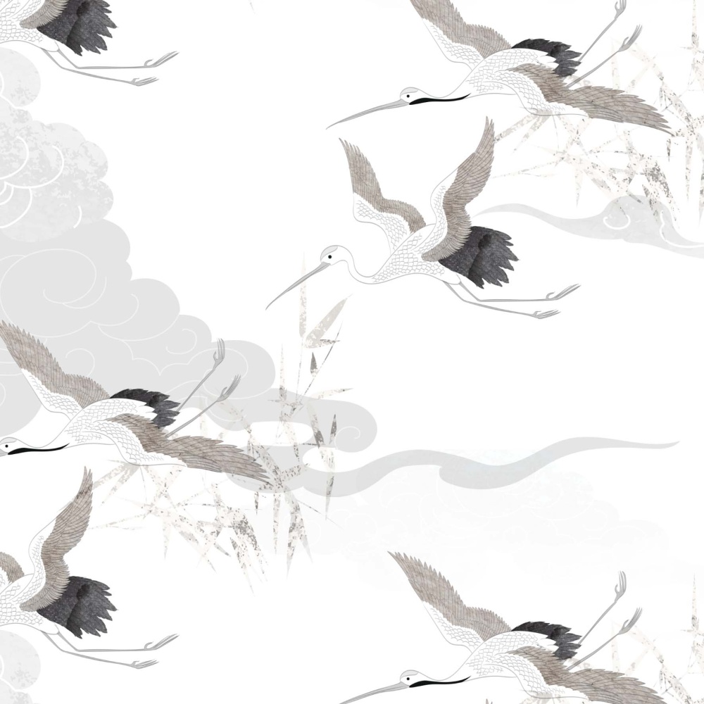 Białe Zurawie 0.jpg