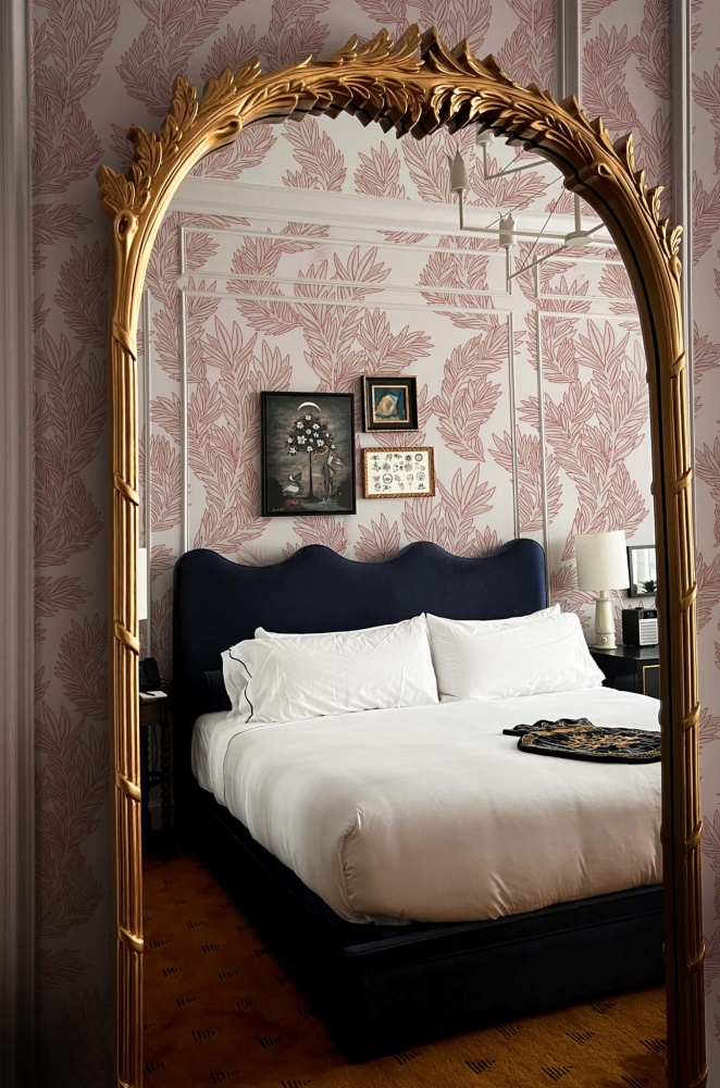 Wodorosty rozowe 2.jpg