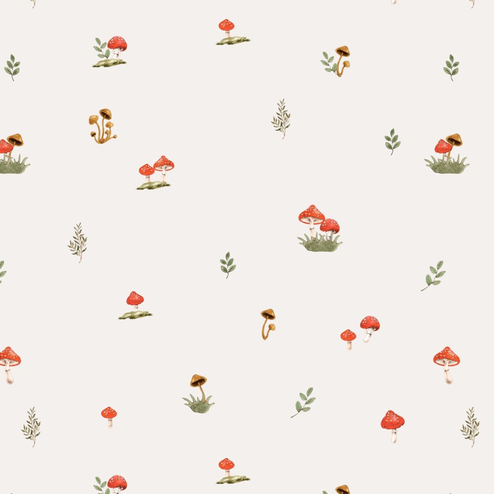 Grzybowa polana 0.jpg