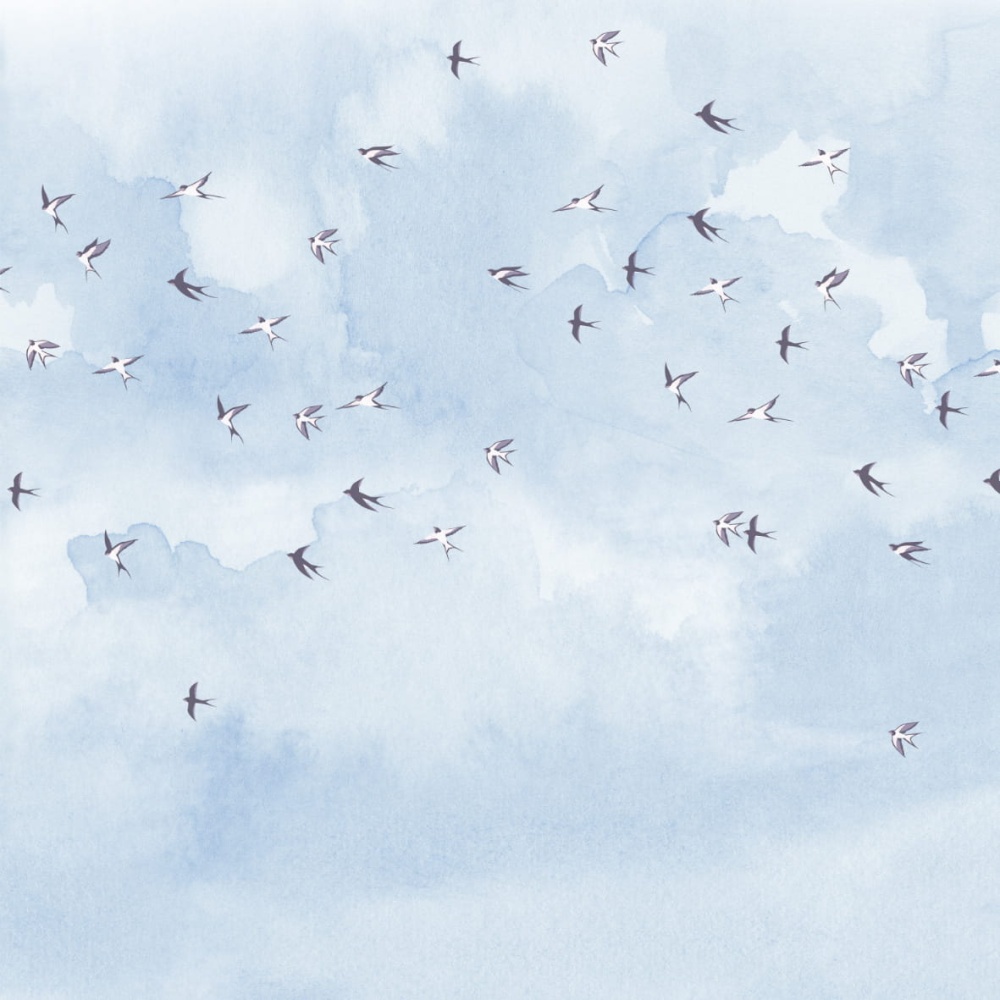 Ptaki na niebie błekit 0.jpg