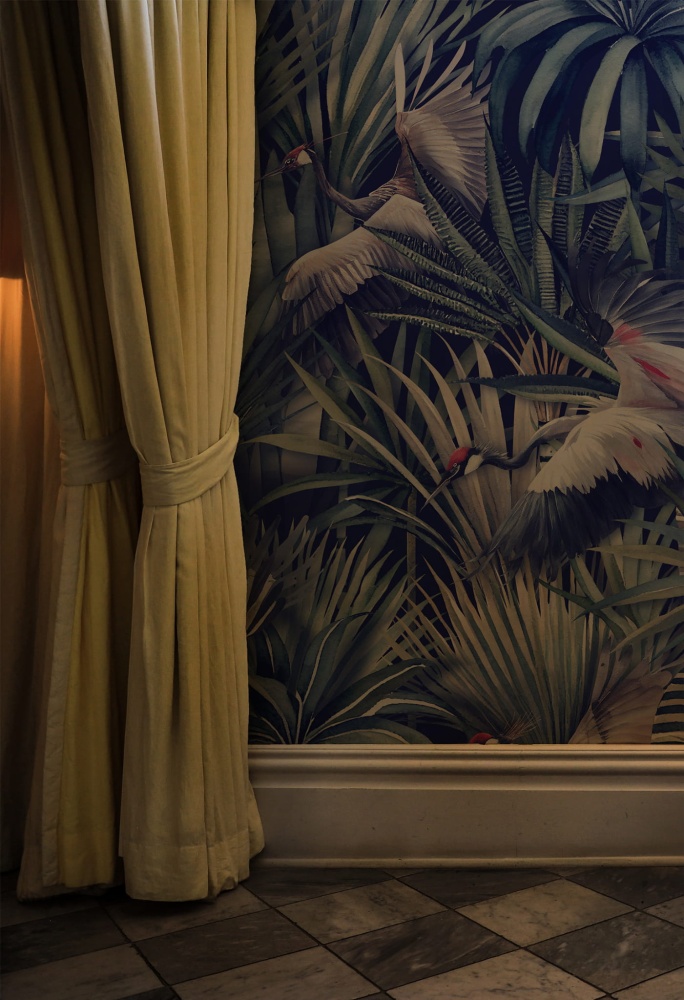 Zurawie w ogrodzie 3.jpg