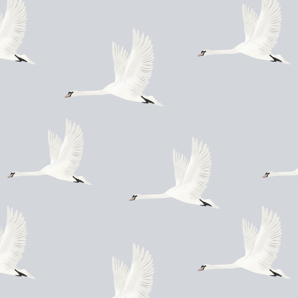 Łabędzie 0.jpg