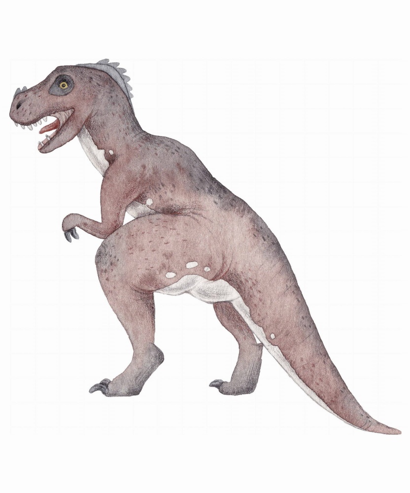Naklejka Tyranozaur.jpg