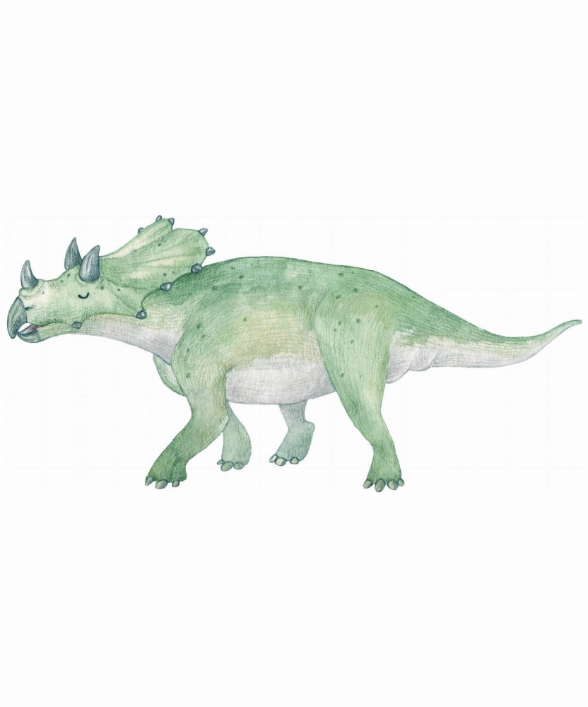 Naklejka Triceratops.jpg