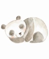 Naklejka Śpiąca panda.jpg