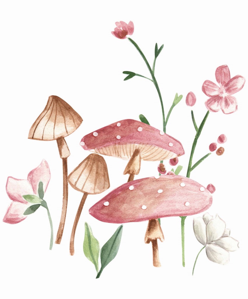 Naklejka Mushrooms.jpg
