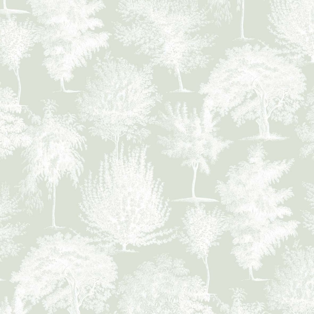 seledenowe drzewa 0.jpg