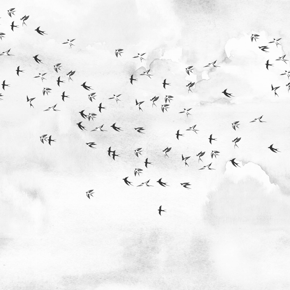 Tapeta Ptaki na bialym niebie.jpg