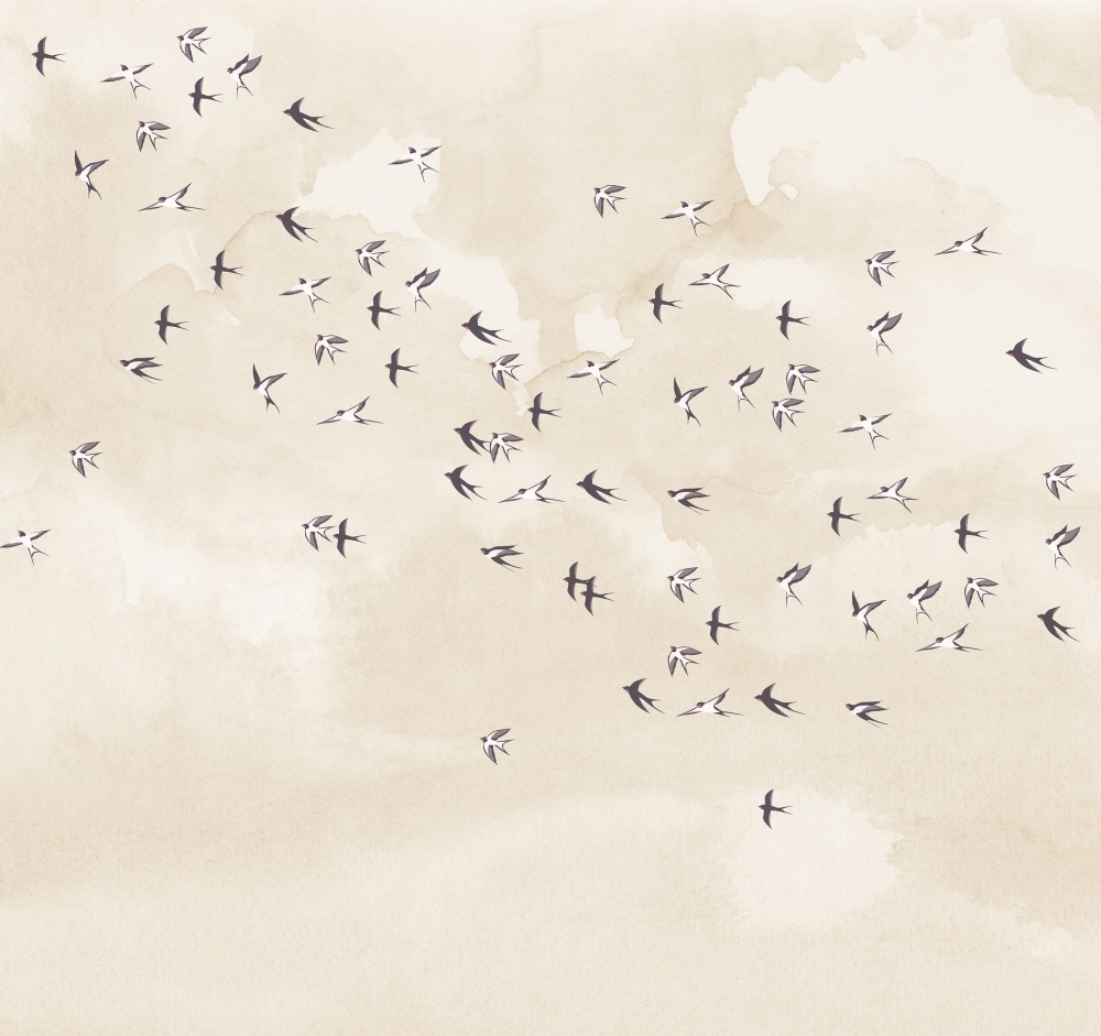 Tapeta Ptaki na kremowym niebie.jpg