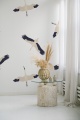 bociany-1.webp