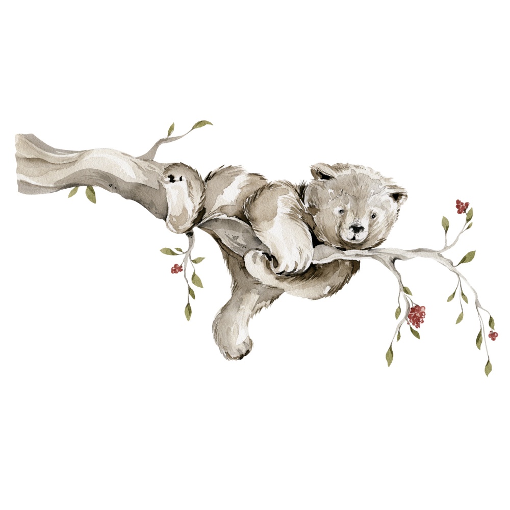 Naklejka Miś na drzewie 0.jpg