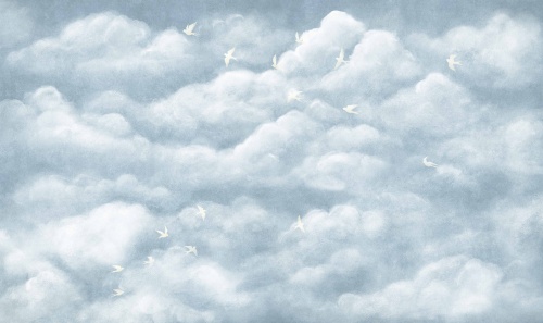 jaskółki w niebie tekstura.jpg