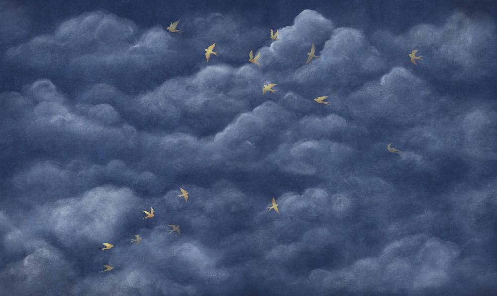 Jaskółki w nocnym niebie tekstura.jpg