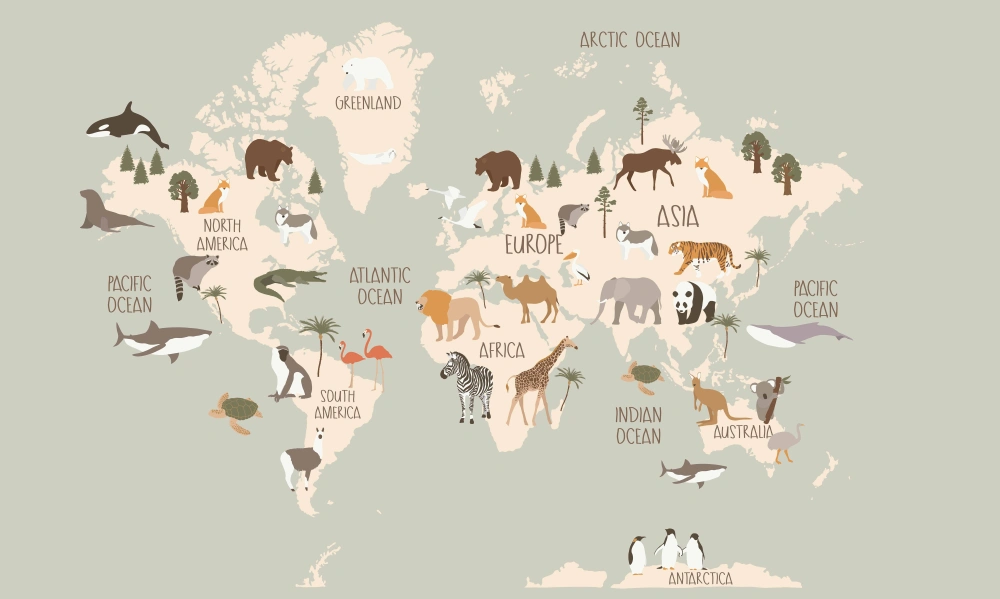 Mural mapa kids tekstura.jpg