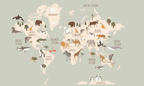 Mural mapa kids tekstura.jpg