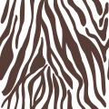 zebra tekstura.jpg
