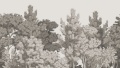 Tapeta W las sepia tekstura.jpg