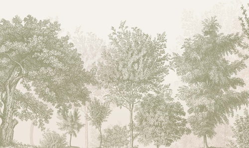 Tapeta Mural Drzewa vintage oliwka tekstura.jpg
