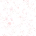 Kwitnąca piwonia pink tekstura.jpg