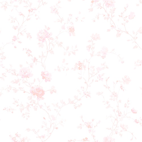 Kwitnąca piwonia pink tekstura.jpg