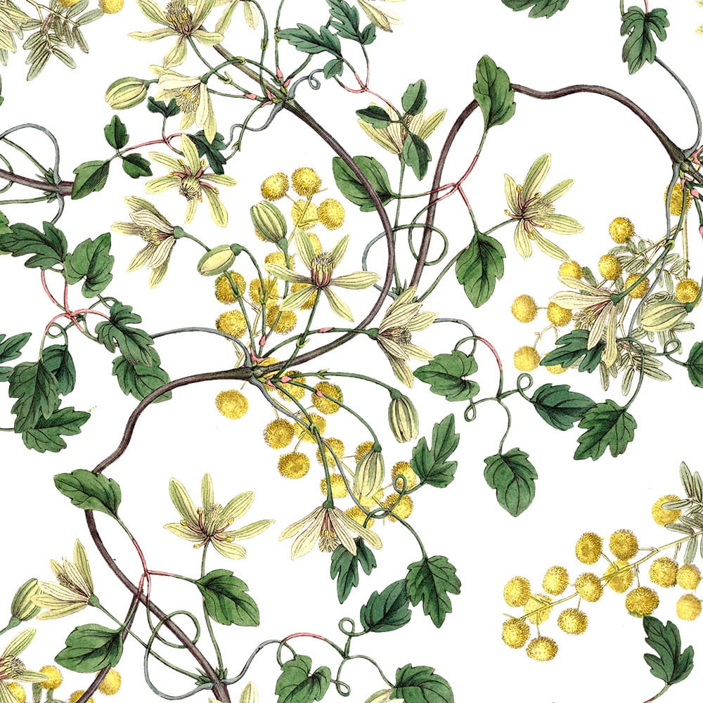 Tapeta-Wiosenne-kwiaty-1